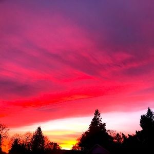 Meet your Posher, Vance